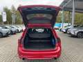 Ford Focus 2,3 L.Turnier ST X*Panorama*B&O*Head-Up***** Rot - thumbnail 13