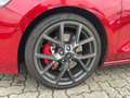 Ford Focus 2,3 L.Turnier ST X*Panorama*B&O*Head-Up***** Rot - thumbnail 7