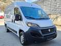 Fiat Ducato 2,3D H2 / L2 mit Klima Weiß - thumbnail 6