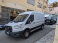 Ford Transit 350 2.0TDCi EcoBlue RWD MHEV 170 PM-TM Furgone Tre Blanc - thumbnail 1