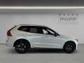 Volvo XC60 T8 AWD Ultra Black Edition FACELIFT 21" 360° HUD Blanco - thumbnail 2
