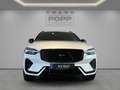 Volvo XC60 T8 AWD Ultra Black Edition FACELIFT 21" 360° HUD Blanco - thumbnail 16