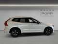 Volvo XC60 T8 AWD Ultra Black Edition FACELIFT 21" 360° HUD Blanco - thumbnail 14