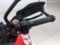 Ducati Hypermotard 950 RVE 64kW Rojo - thumbnail 11