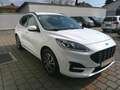 Ford Kuga 1,5 EcoBlue ST-Line Aut. Weiß - thumbnail 8