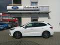 Ford Kuga 1,5 EcoBlue ST-Line Aut. Weiß - thumbnail 2