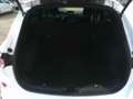 Ford Kuga 1,5 EcoBlue ST-Line Aut. Weiß - thumbnail 5
