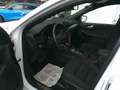 Ford Kuga 1,5 EcoBlue ST-Line Aut. Weiß - thumbnail 25