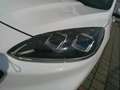Ford Kuga 1,5 EcoBlue ST-Line Aut. Weiß - thumbnail 9