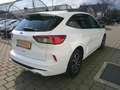 Ford Kuga 1,5 EcoBlue ST-Line Aut. Weiß - thumbnail 3
