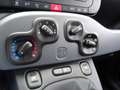 Fiat Panda 1.0 FireFly S&S Hybrid City Cross Schwarz - thumbnail 13