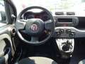 Fiat Panda 1.0 FireFly S&S Hybrid City Cross Schwarz - thumbnail 12