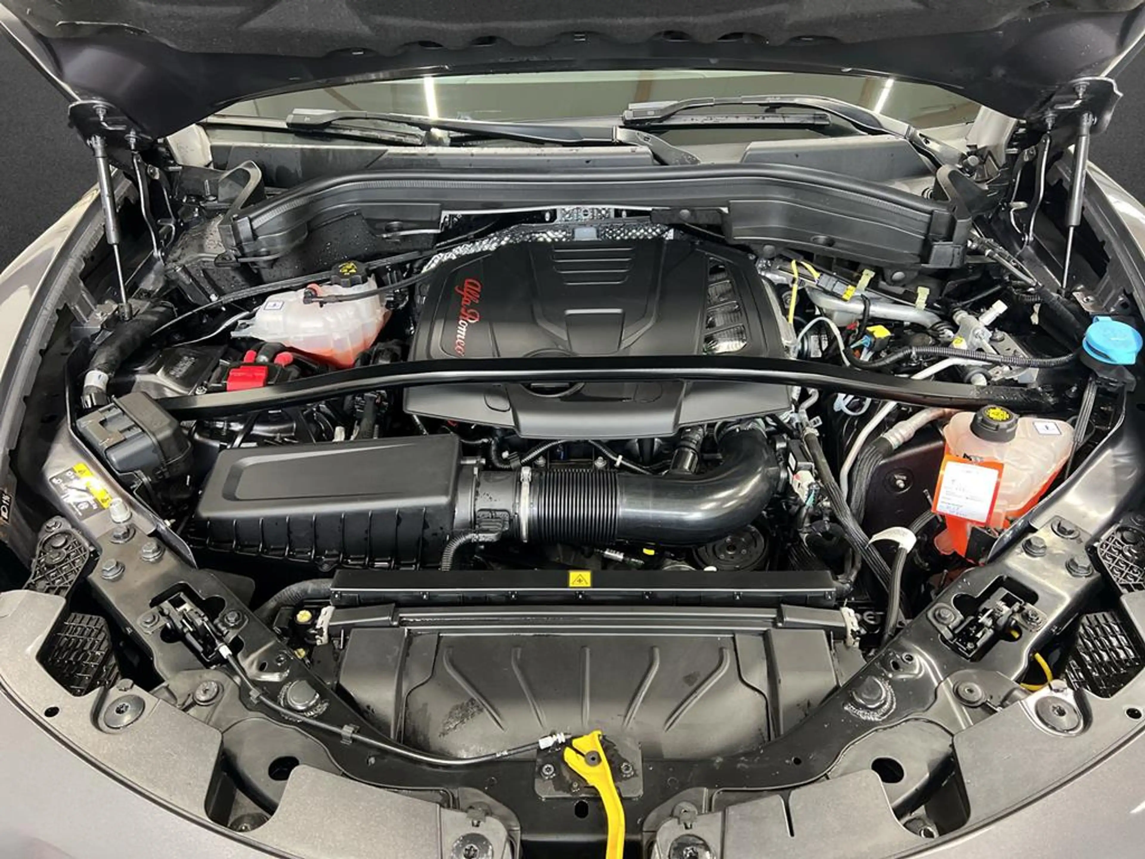 Alfa Romeo Stelvio 2.0 Turbo 16V Veloce Q4 — photo 5