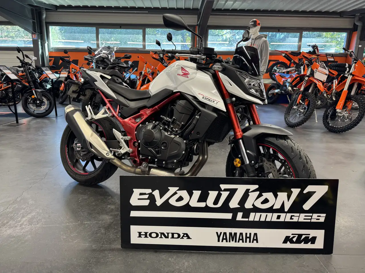 Honda Hornet