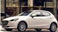 Mazda 2 PRIME LINE OK NEOPATENTATI Blanc - thumbnail 6