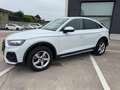 Audi Q5 SPB 40 TDI quattro S tronic Business Advanced Bianco - thumbnail 10