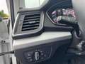 Audi Q5 SPB 40 TDI quattro S tronic Business Advanced Bianco - thumbnail 6