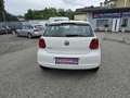 Volkswagen Polo 4FRIENDS 1,2 *ALU* Weiß - thumbnail 6