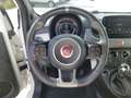Fiat 500C S 1,2 Fire 70 Weiß - thumbnail 12