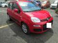 Fiat Panda 1.2 Lounge 69cv Rosso - thumbnail 8
