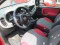 Fiat Panda 1.2 Lounge 69cv Rosso - thumbnail 10