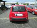 Fiat Panda 1.2 Lounge 69cv Rosso - thumbnail 5