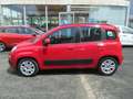 Fiat Panda 1.2 Lounge 69cv Rosso - thumbnail 3
