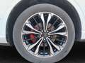 Ford Kuga Plug-In Hybrid ST-Line X 2.5 Duratec -PHEV EU6d *N Weiß - thumbnail 6