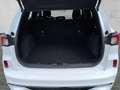 Ford Kuga Plug-In Hybrid ST-Line X 2.5 Duratec -PHEV EU6d *N Weiß - thumbnail 4