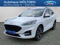 Ford Kuga Plug-In Hybrid ST-Line X 2.5 Duratec -PHEV EU6d *N Weiß - thumbnail 1