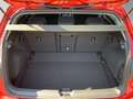 Volkswagen Golf VIII Life 1.5 TSI PDC SHZ NAVI ACC LED Rot - thumbnail 19