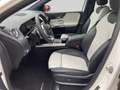 Mercedes-Benz B 220 4MATIC Aut. *AMG*PANORAMA* Blanc - thumbnail 6