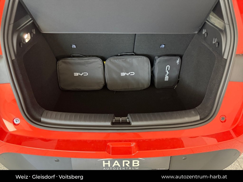 BYD Dolphin G DM-i Comfort — photo 11