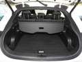 smart #3 Pro+ 66kWh Navi Panorama Memory 66kWh ACC 360° Blanc - thumbnail 6