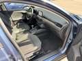 Ford Focus Titanium X S/S - Navi, LED, Carplay, 8 Fach bereif Blau - thumbnail 7