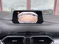 Mazda CX-5 2.2 Business Awd 150cv Grau - thumbnail 40