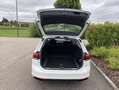 Volkswagen Passat Variant 2.0 TDI Business AHK+17"+NAVI+LED Weiß - thumbnail 12