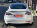 Tesla Model 3 SR+55kWh LFP & Attache remorque tracte 1000Kg Blanco - thumbnail 3
