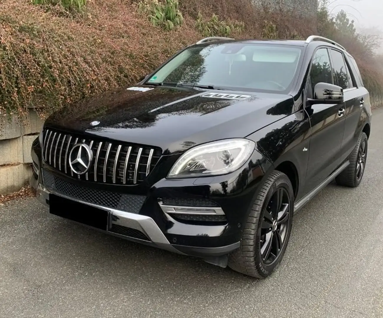 Mercedes-Benz ML 350 ML 350 BlueTEC 4MATIC 7G-TRONIC - 1