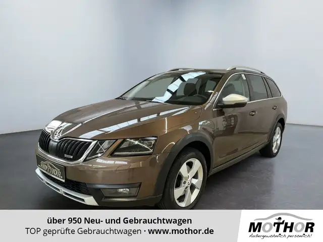2019 Skoda Octavia in Brown for sale