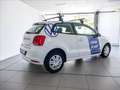 Volkswagen Polo VAN 1.4 TDI 75CV - PREZZO + I.V.A. Bianco - thumbnail 7