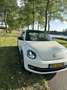 Volkswagen Beetle The 2.0 TSI DSG Exclusive Sport - thumbnail 9