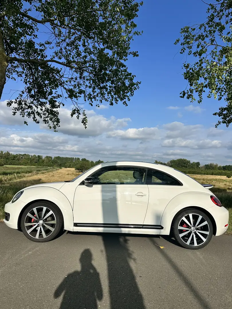 Volkswagen Beetle The 2.0 TSI DSG Exclusive Sport - 2