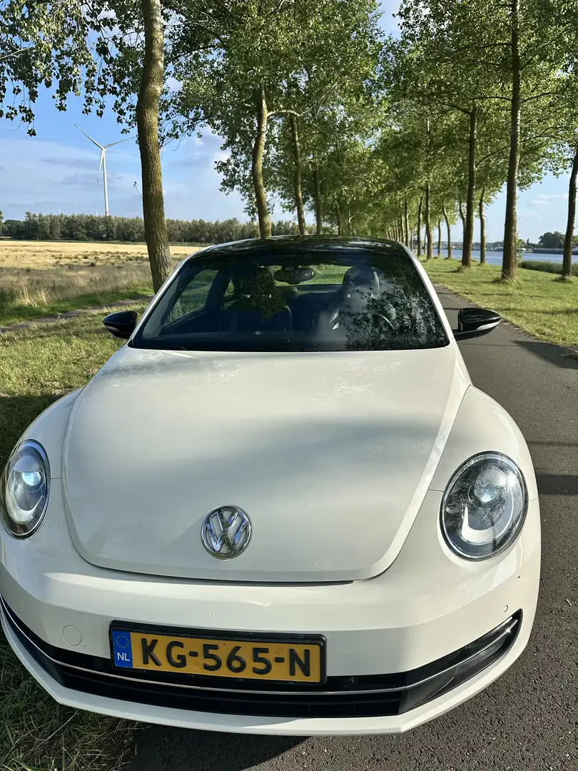Volkswagen Beetle The 2.0 TSI DSG Exclusive Sport - 2