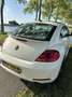 Volkswagen Beetle The 2.0 TSI DSG Exclusive Sport - thumbnail 3