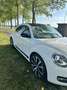 Volkswagen Beetle The 2.0 TSI DSG Exclusive Sport - thumbnail 4