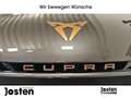CUPRA Born 150 NAVI ACC LED TECH PILOT WÄRMEPUMPE Grijs - thumbnail 21