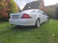 Mercedes-Benz CL 600 2.Hand, 42.000 km, AMG 18" Felgen Weiß - thumbnail 3