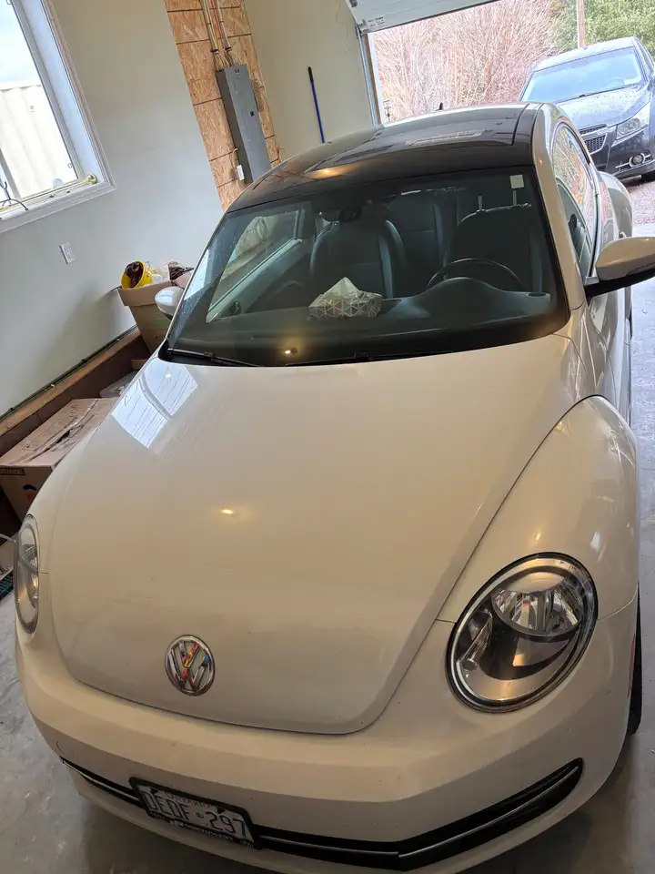 Volkswagen Beetle снимка Volkswagen Beetle