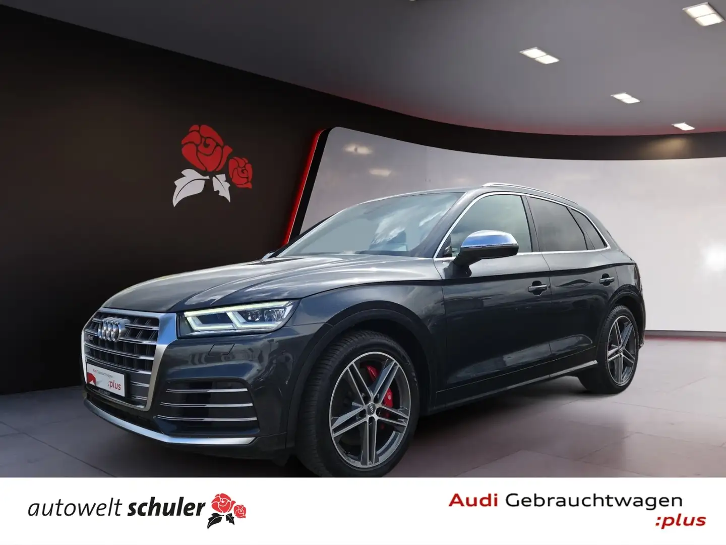 Audi SQ5 3.0 TDI quattro AHK Navi RFK Matrix-LED Standheiz Grau - 1